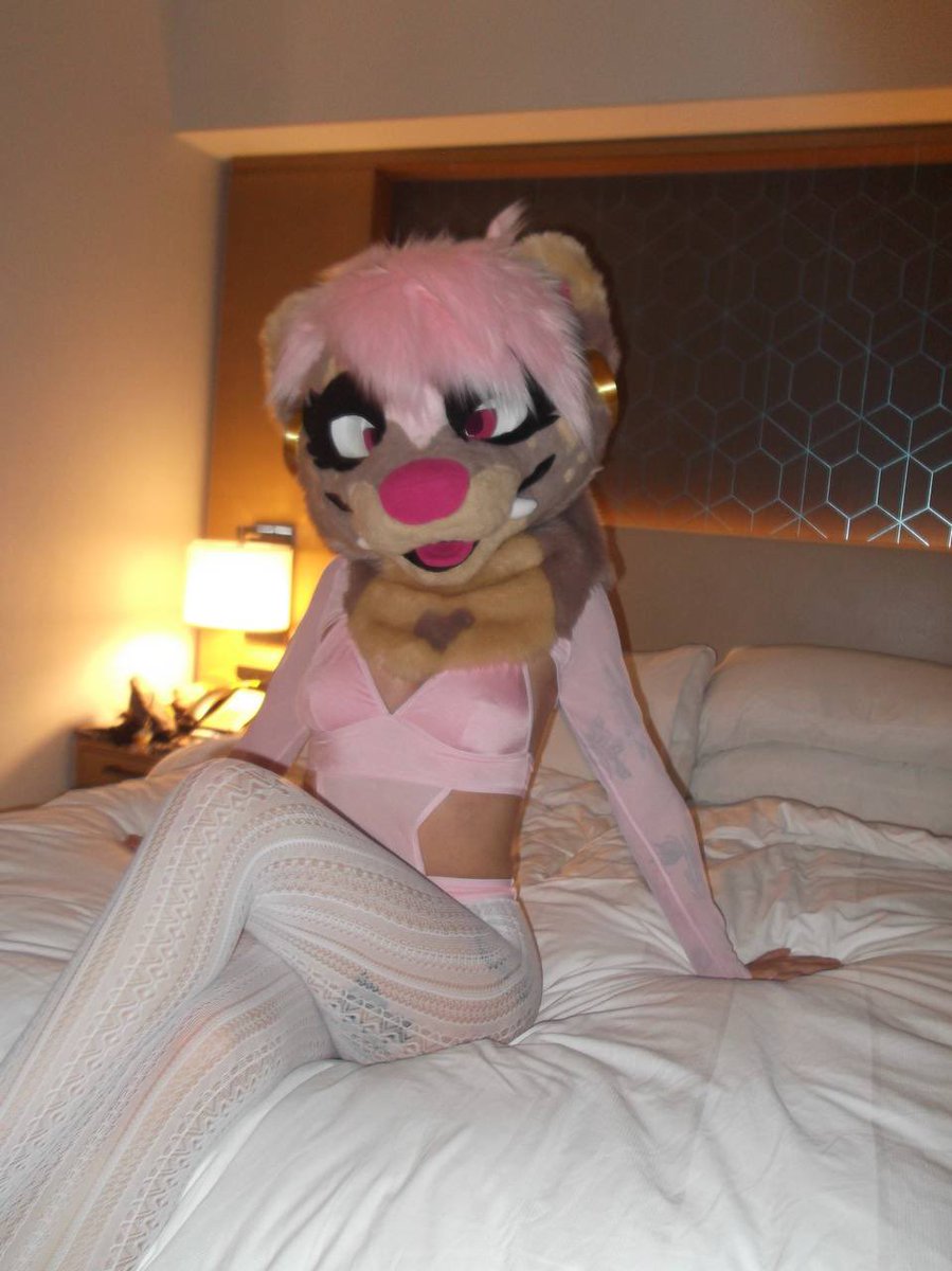 MiishaMischief's tweet photo. How to revive Twitter account tutorial 

#furry #fursuit #furrygirl https://t.co/gw4LBGsY0C