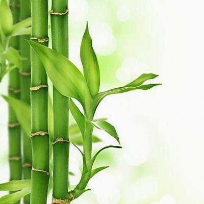 shinntaaa26's tweet photo. Practicing regular exercise enhances well-being. Studies show it improves physical strength by 20%. Consistency brings long-term rewards. This habit fosters a healthier lifestyle. Experts suggest starting small for impact. 💐 🍄 https://t.co/TzDYueJnl5