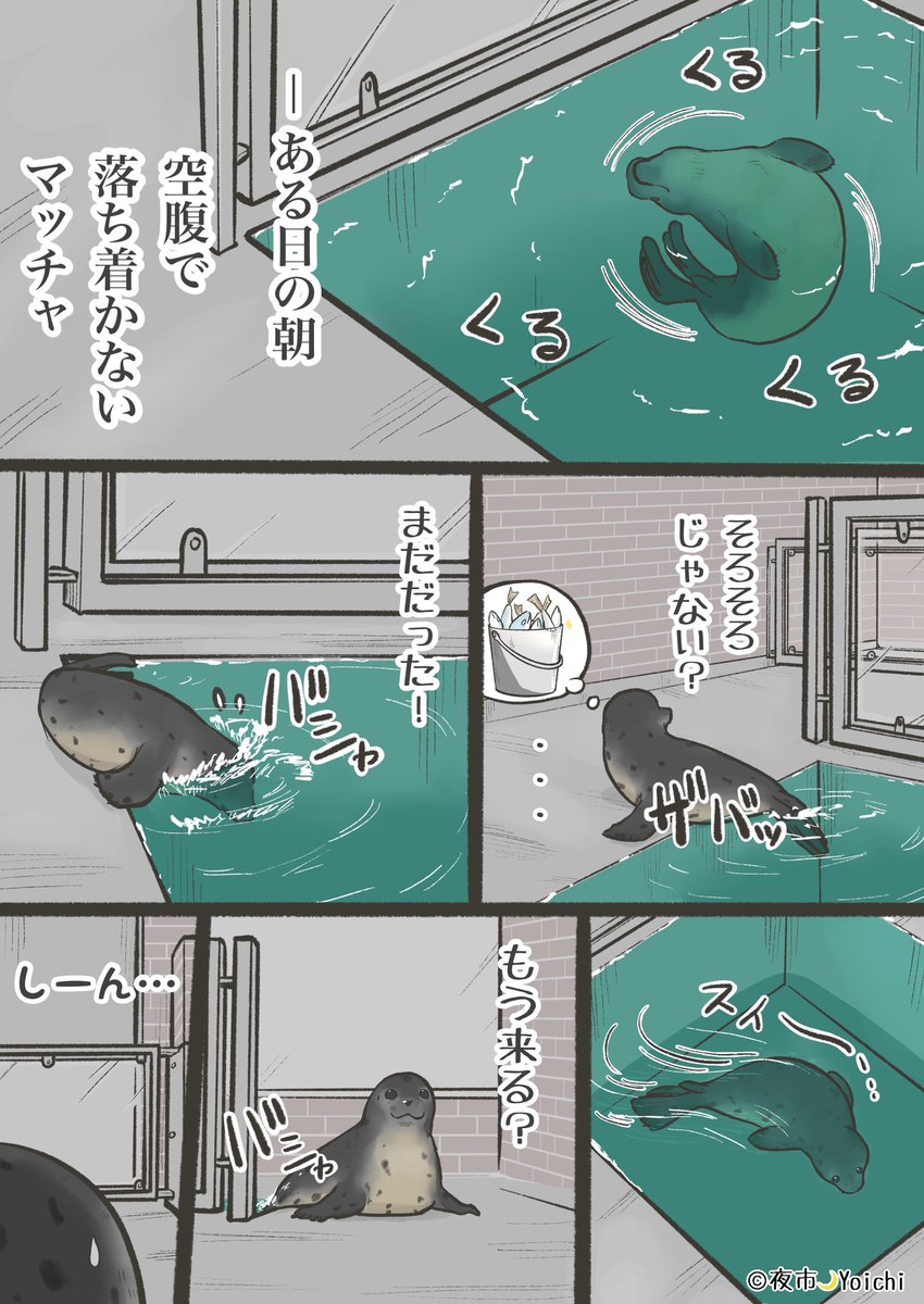 yoichi_yoi_yoi's tweet photo. F1→F2に進級したMatchaくんのエピソード🦭🍵☺️

#アザラシ幼稚園 #漫画 #seal https://t.co/6oc2FWoXR2