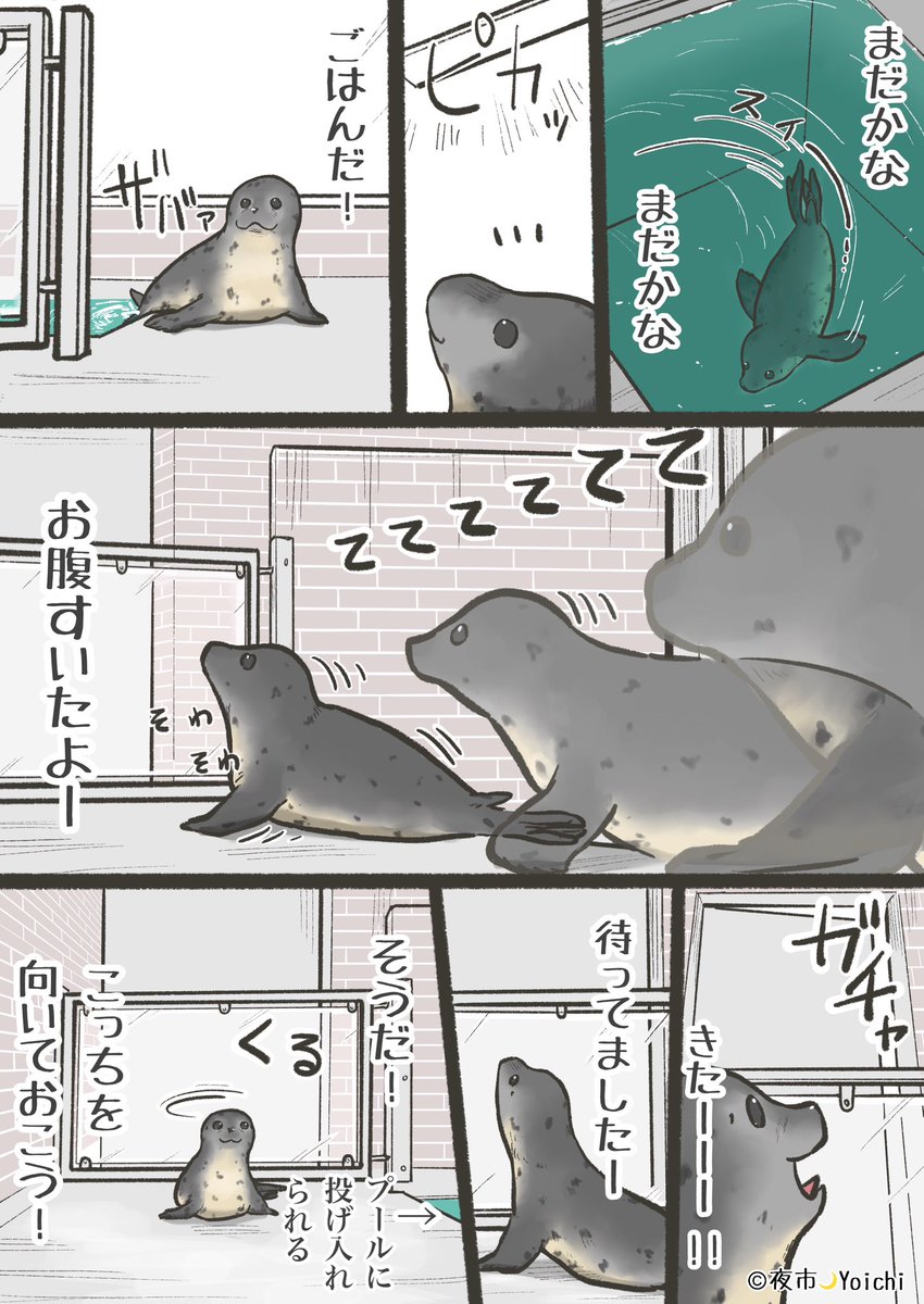 yoichi_yoi_yoi's tweet photo. F1→F2に進級したMatchaくんのエピソード🦭🍵☺️

#アザラシ幼稚園 #漫画 #seal https://t.co/6oc2FWoXR2