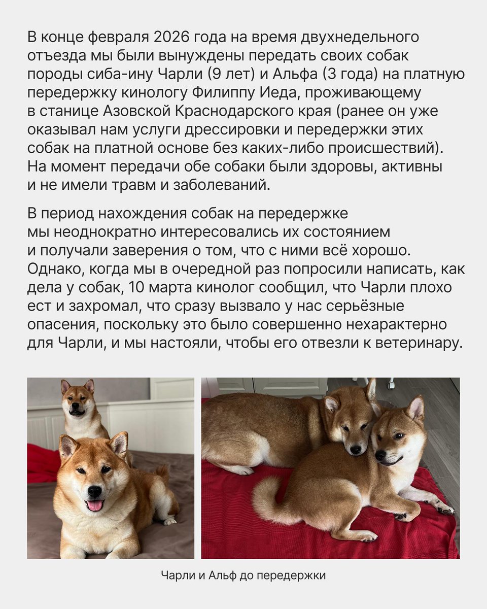 YarmarkaDobroty's tweet photo. Важно!  
Лето - пора отпусков и часто нужно оставить своего питомца на передержке/в гостинице.
Пожалуйста, проверяйте того кому оставляете!  
❗️Требуйте договор, в котором указывайте первоначальное состояние животного. С видео фиксацией на момент передачи.

1/4 https://t.co/Li3gtqA9Ax