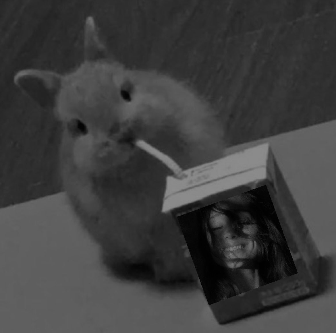 arianadore_ ꕤ tweet media