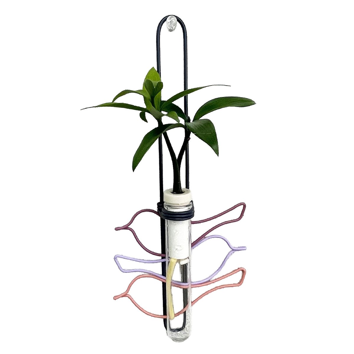 GSTICK2023's tweet photo. 小鳥が集う、小さな緑。

ワイヤーアート　津井隆

#GSTICK #インテリアグリーン #観葉植物 #梛 #御神木 #ワイヤーアート #津井隆 https://t.co/iQkf0pY1YV