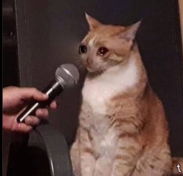 engemma8's tweet photo. When someone asks me how far with the goals I set for this year 😭😂 https://t.co/ITDqrQ1jrh