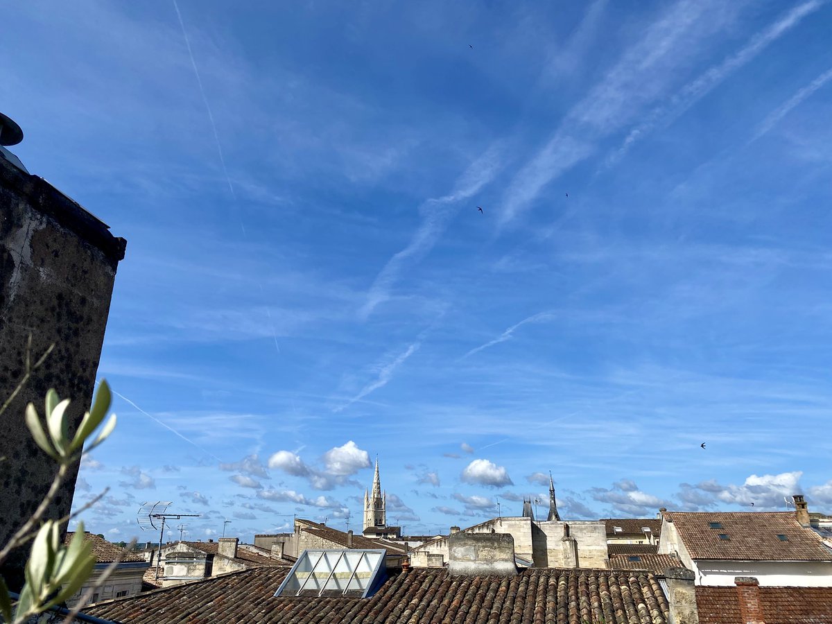 MWidcoq's tweet photo. 🛑Chemtrails et modification du climat
Attendez-vous à une nouvelle canicule @PascalPraud @CNEWS 

Pulvérisation massive depuis hier soir sur Libourne 33550. 

Sur cette photo réalisée ce matin, on peut voir la ligne de cumulus alignés le long de la Dordogne provoqués par l’assèchement des masses d’air d’épandage d’oxyde de soufre, poudre qui absorbe toute l’humidité de l’air. Ces poudres ensuite restent en suspension à l’échelle de régions complètes et constituent un dôme artificiel qui diffractent la lumière du soleil et piègent les infrarouges au sol 

Les traînées des avions visibles depuis ce matin 6 Heures, sont en train de s’élargir et créent ainsi un matelas chimique. ⬇️⬇️⬇️
