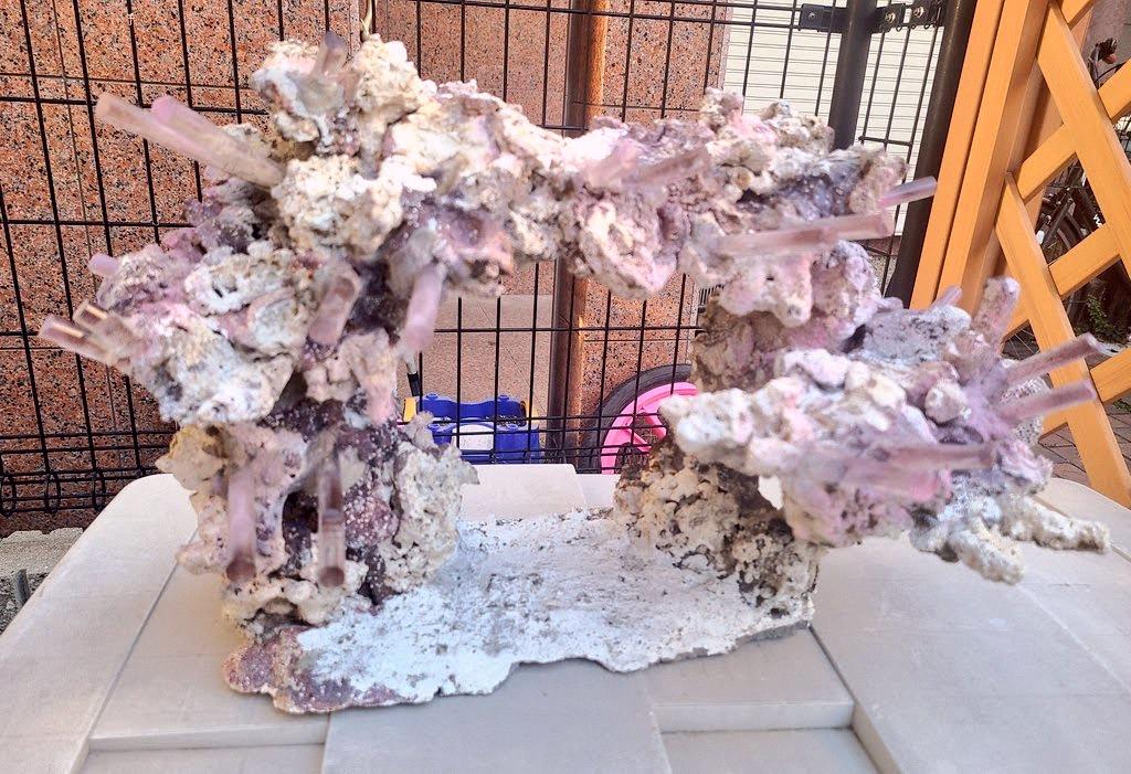 BenGallant3's tweet photo. I built my second SPS tank trying to copy a foreign MIX-REEF layout, but years later it grew out and turned into the usual SPS setup. Nitrate can be loose, but keep phosphate under 1. Pumps should be strong. Dobaku recommended. Watch out—maintenance kicks up detritus that can s https://t.co/7ETvLyS2z5