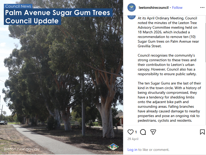 TreeProblemsNSW's tweet photo. Leeton Council NSW will remove ten gum trees for public safety. The trees have a history of being structurally compromised, tend to shed limbs onto the bike path. Falling branches have damaged properties and pose a risk to pedestrians, cyclists, residents
https://t.co/PwnUmtQUHa https://t.co/ATlrIpNWIy
