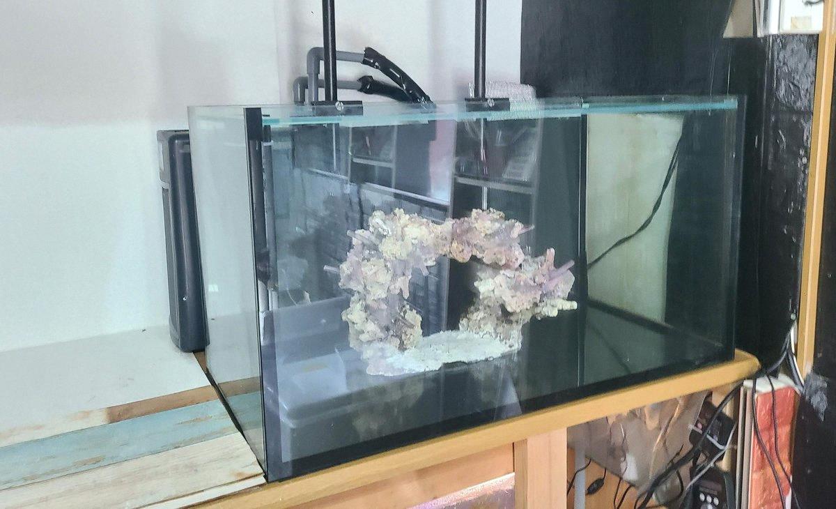 srtvans's tweet photo. I set up my 2nd SPS tank trying to copy an overseas MIX-REEF layout… a few years later it grew in and turned into the usual SPS tank 😅. Nitrates don't matter much, just keep phosphates under 1. Pump flow strong. Dobaku's my go-to. Be careful during maintenance—if detritus kic https://t.co/7XzvKHWZnO