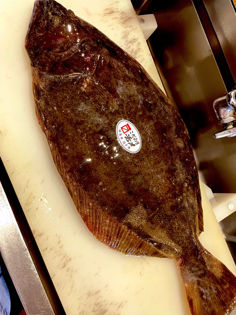 Tono_kitchen's tweet photo. こんばんは
お魚メニューのご案内です。
美味しい平目、捌きました。
お刺身でぜひどうぞ✨ https://t.co/IQ6iY1XnHz