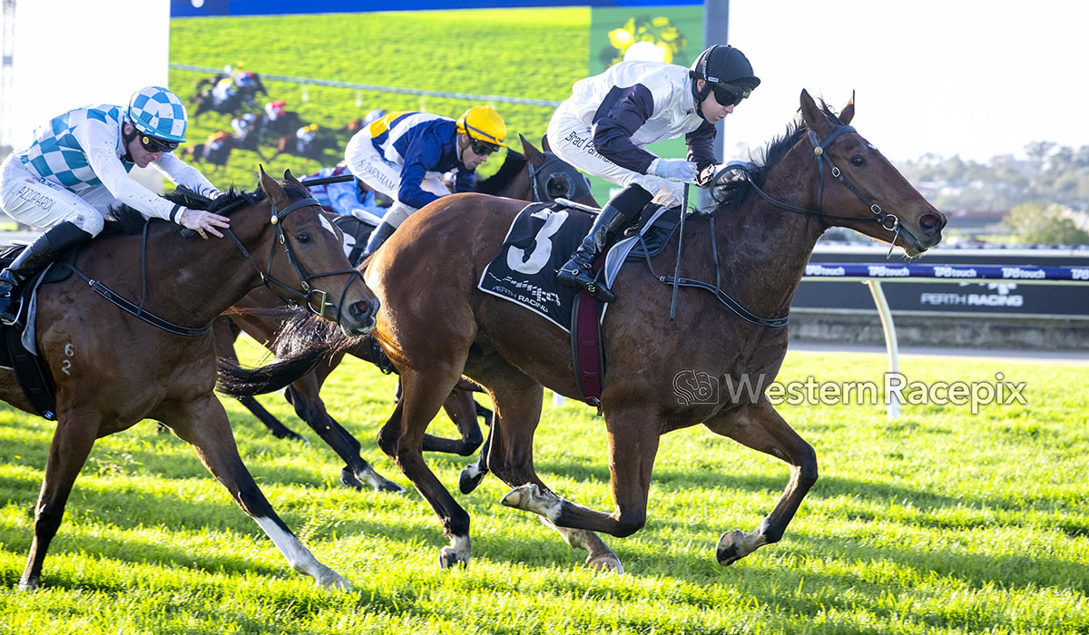 WesternRacepix tweet picture