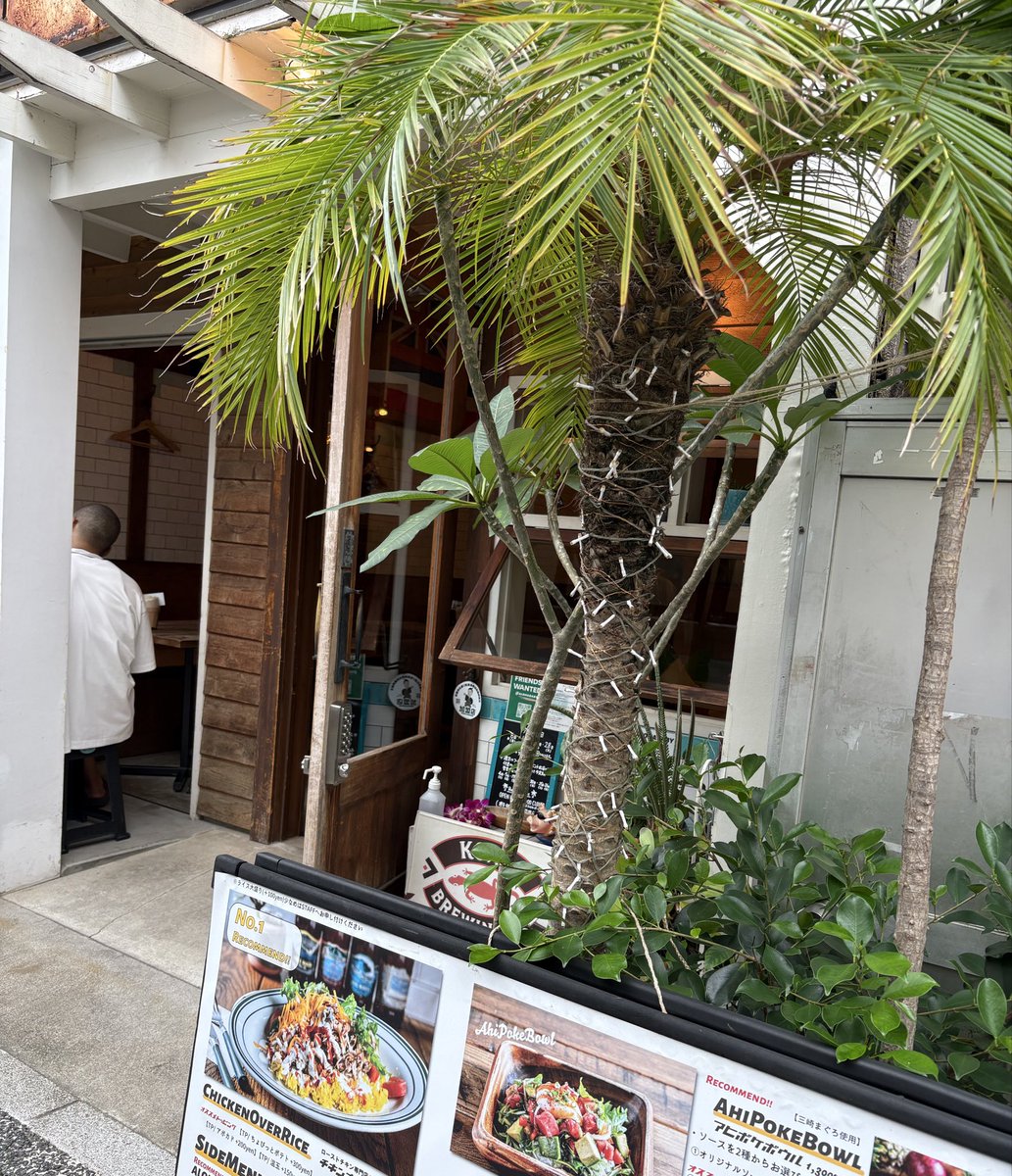 Hiroshi_Ueda's tweet photo. 遊んでま、、
違った。仕事です。笑
#松陰神社通り商店街
#ALOHABABY https://t.co/H1QlZ1CCNS