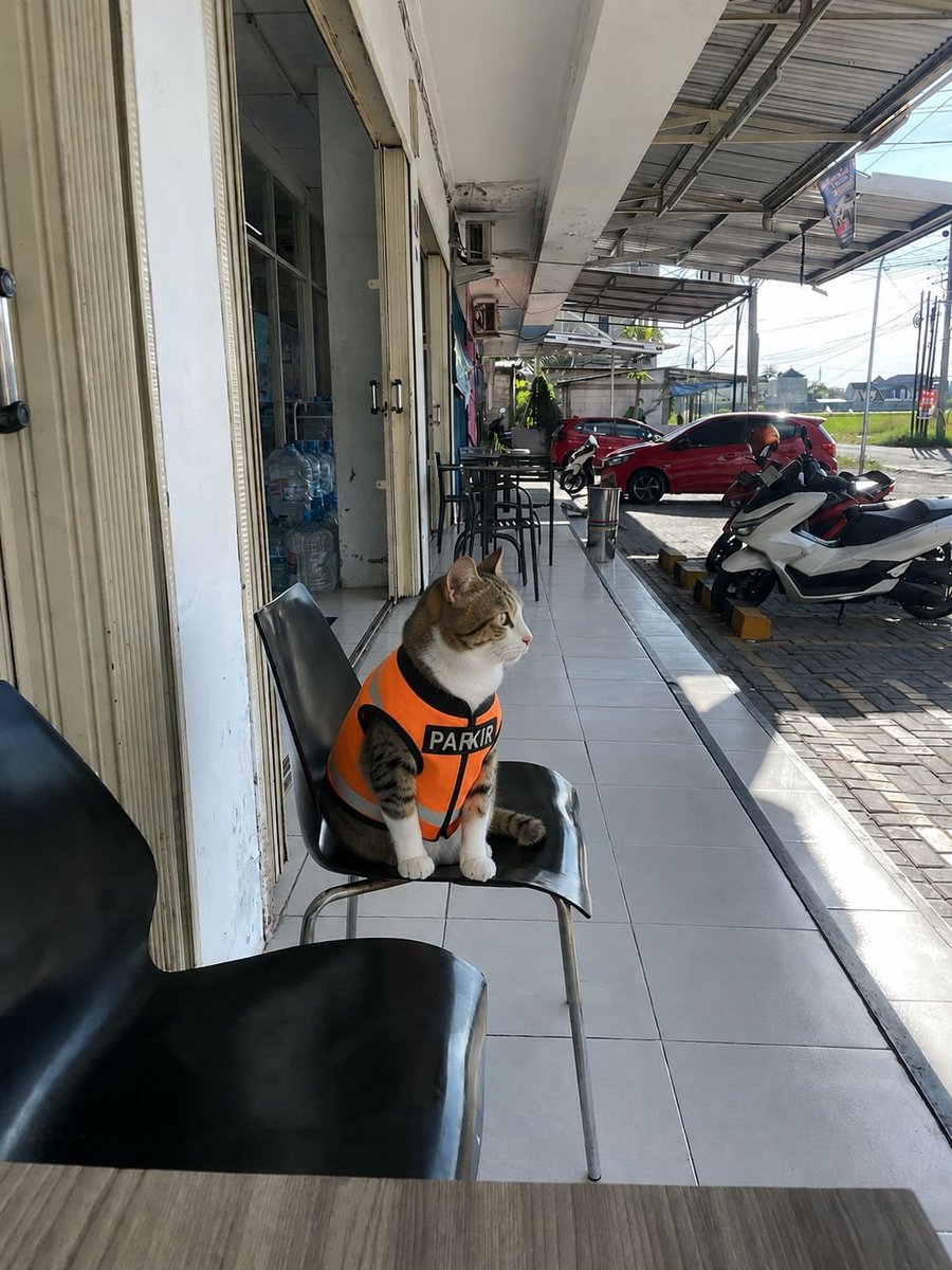 aril_piterpen1's tweet photo. KATANYA PARKIS GRATIS TAPI KOK ADA YG NUNGGUIN😭😭😭 https://t.co/50w2yKNk3f