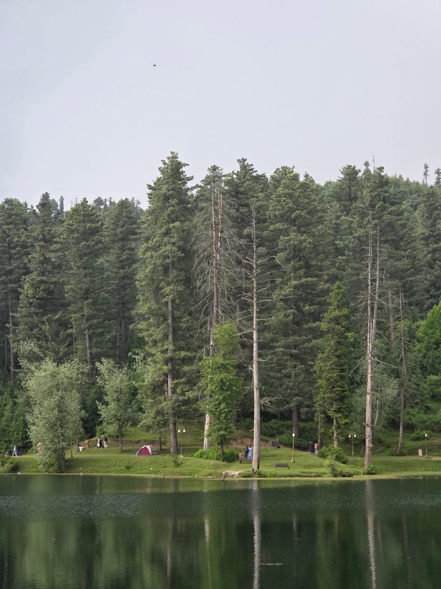 TheBudgam's tweet photo. 💙 Nilnag Lake, Budgam

Two views. One hidden paradise.

Crystal-clear blue water surrounded by pine forests.

📸 @TheBudgam

#NilnagLake #Budgam #Yusmarg #Kashmir #HiddenKashmir #ExploreKashmir #TheBudgam https://t.co/g1D6j3mTaR