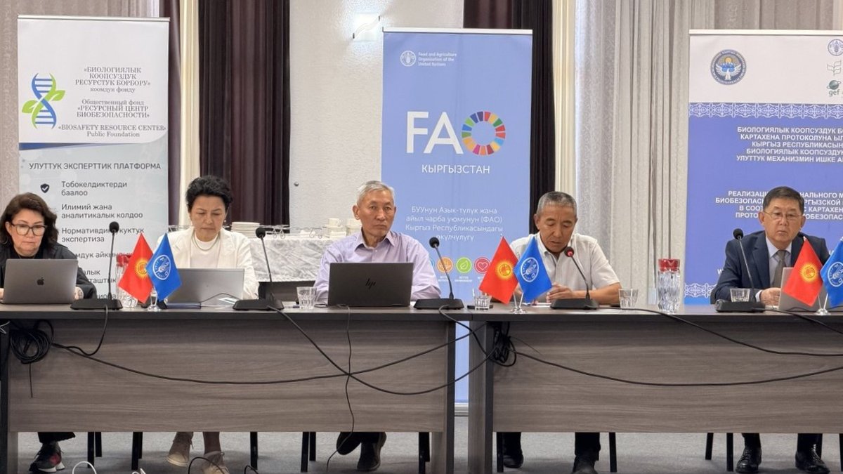 FAOKyrgyzstan's tweet photo. From 29 to 30 June, @FAO and partners convened a national workshop to advance Kyrgyzstan’s biosafety framework under the #CartagenaProtocol, promoting digital solutions, inclusion and stronger interagency action for safer, more resilient agrifood systems. 🌱🤝

#Biosafety https://t.co/HhJ2OszhaQ