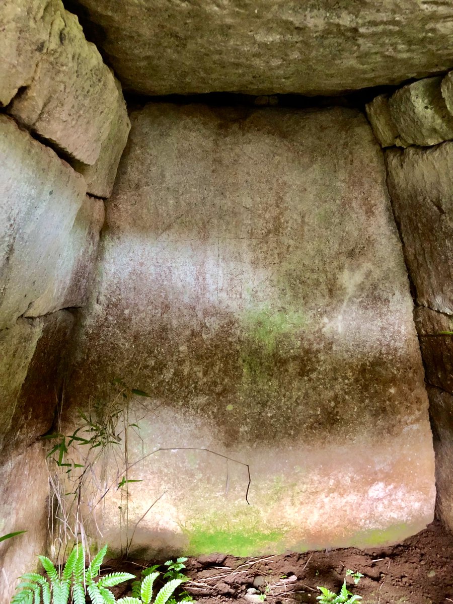 Haru_GIOIRE's tweet photo. 栃木県益子町の西坪古墳群石塚古墳(3号墳)を訪問。

舌状台地に築かれた前方後円墳で、現在は前方部が削平され、後円部が残されています。

凝灰岩の切石を積み上げた横穴式石室を備え、道路沿いに開口する石室は見学しやすい一方、東日本大震災の影響で天井石の一部が崩落したとのこと。

#西坪古墳群 https://t.co/gh774OotYt