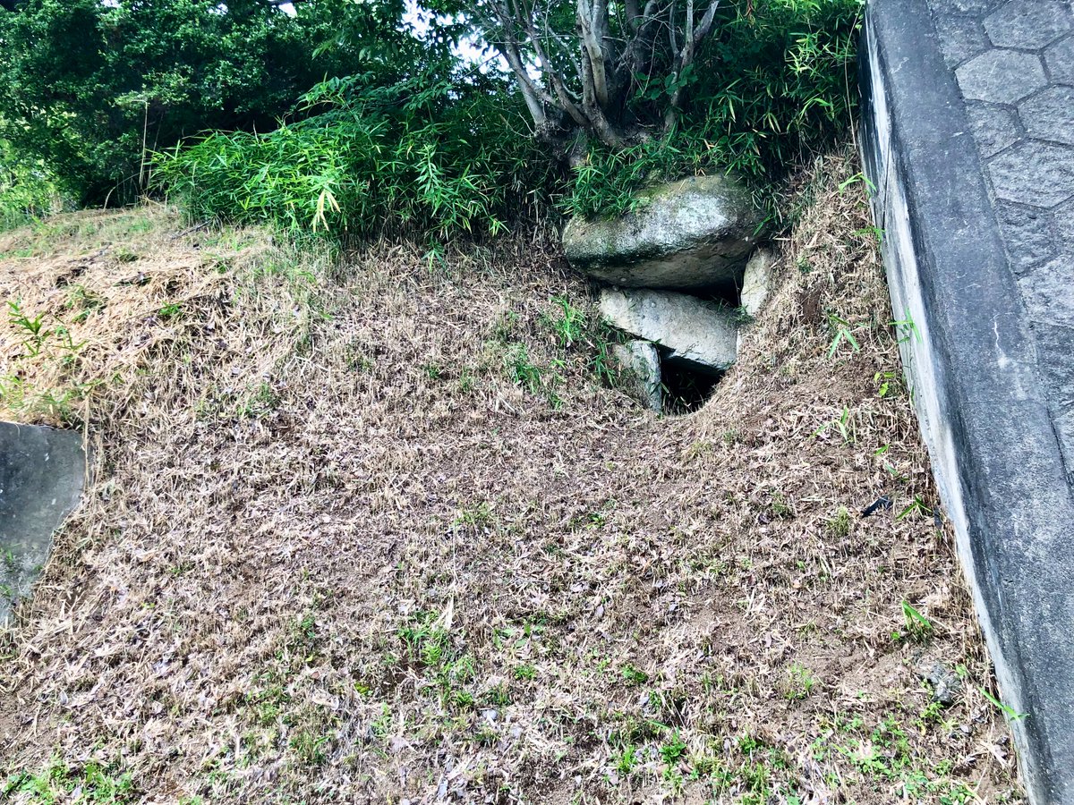 Haru_GIOIRE's tweet photo. 栃木県益子町の西坪古墳群石塚古墳(3号墳)を訪問。

舌状台地に築かれた前方後円墳で、現在は前方部が削平され、後円部が残されています。

凝灰岩の切石を積み上げた横穴式石室を備え、道路沿いに開口する石室は見学しやすい一方、東日本大震災の影響で天井石の一部が崩落したとのこと。

#西坪古墳群 https://t.co/gh774OotYt