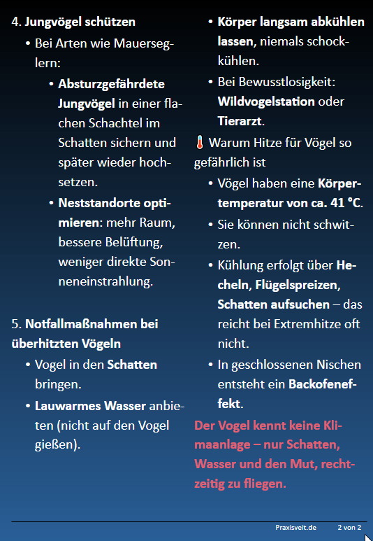 OE_Veit's tweet photo. Selbstverständlich kann man die Gefährdung durch Hitze für Menschen und Natur politisch fadenscheinig instrumentalisieren - der grüne Weg.
Dann gäbe es da noch den pragmatischen - schnell, effizient und wirksam.

Der ungrüne Weg.

Hier am Beispiel von (Jung-)Vögeln: https://t.co/XbFdQrPmjJ