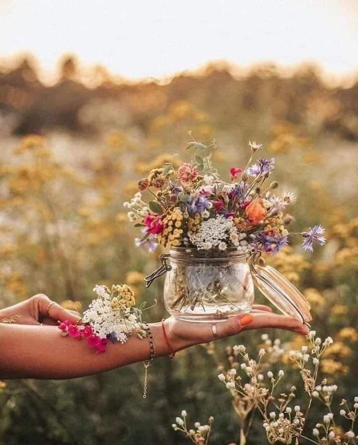 vanessagray5's tweet photo. @nemo652 @Roberto45082252 Grazie infinite Fulvio. Felicissimo inizio luglio anche a te 🙏🌺🏖🌻🍉🌸🪻🍉🌼🤗🙋‍♀️ https://t.co/Av4g77n4cL