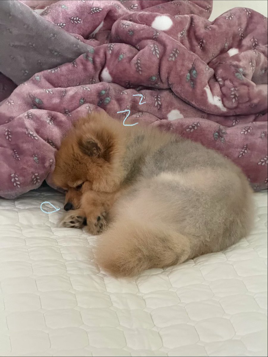 SULLChiive's tweet photo. — 🦌 260701 🫧 update https://t.co/iClGAihyqV