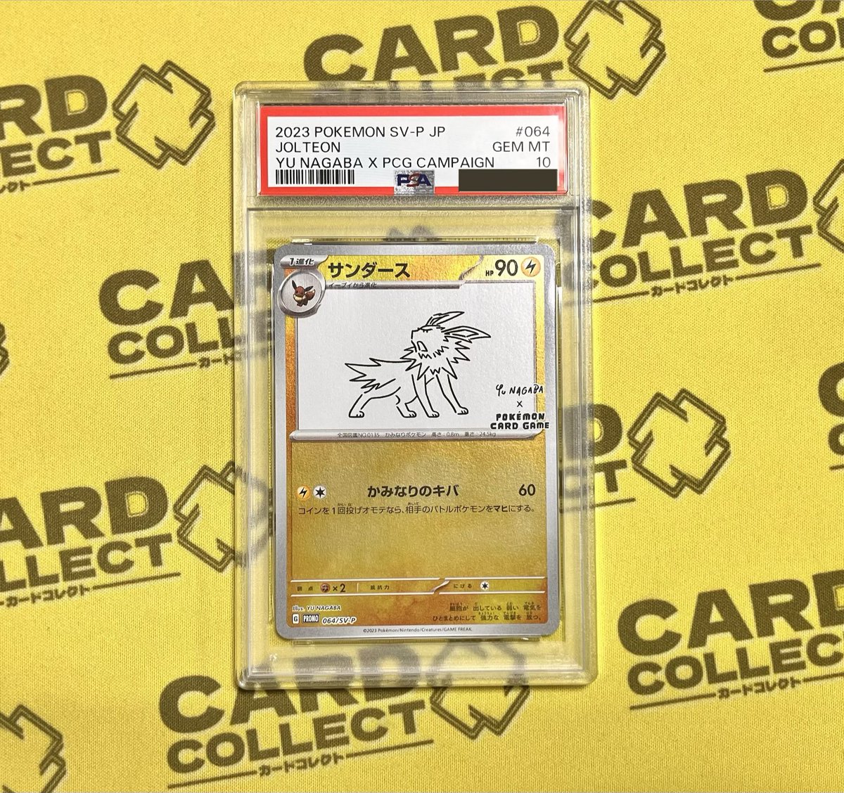 ════════════ #カードコレクトHANARE ✨ポケカ 入荷情報