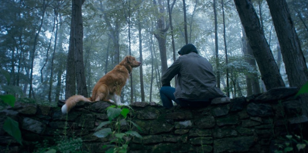 fashionpressnet's tweet photo. 【本編映像解禁】全編“犬視点”のホラー映画『GOOD BOY／グッド・ボーイ』7/10(金)公開へ

霊に憑りつかれた飼い主を守る犬の物語 - https://t.co/u45oAlAPbJ https://t.co/Bx0HFABmRx
