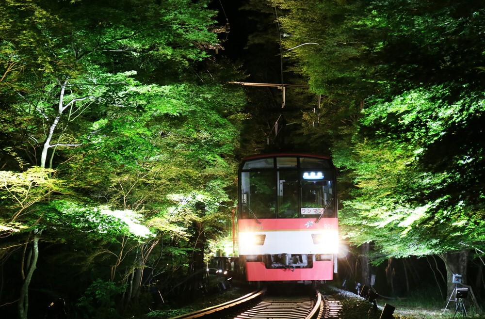 YakeiLW's tweet photo. 【 きょうから！夏だけの幻想列車 】
☘️#叡山電車「青もみじのライトアップ」☘️

［開催］7/1（水）～8/15（土）
［地域］#京都 鞍馬線市原駅～二ノ瀬駅間

ライトアップした「もみじのトンネル」を満喫できるよう、列車内の灯りを消して走行
七夕仕様の「えいでん七夕伝車」も運行します🎋

▾記事▾
https://t.co/LK9JQ7U0j9