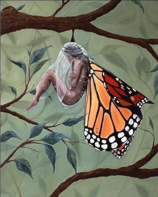 GustavoAdolf_'s tweet photo. "Quien intenta ayudar a una mariposa a salir de su capullo, la mata. 
Quien intenta ayudar a un brote a salir de la semilla, la destruye. 
Quien intenta despertar la consciencia en alguien que no se encuentra listo, lo confunde. 
Hay ciertas cosas que no pueden ser ayudadas, deben de ocurrir de adentro hacia afuera."

Anthony De Mello🇮🇳 (1931-1987)