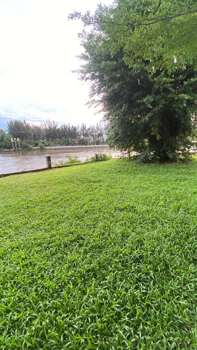 Nguyqqi2's tweet photo. Có ngừ đẹp nào q7 nhà nè khum nè tối ra đây public là nhất luôn https://t.co/4JsER68aTY