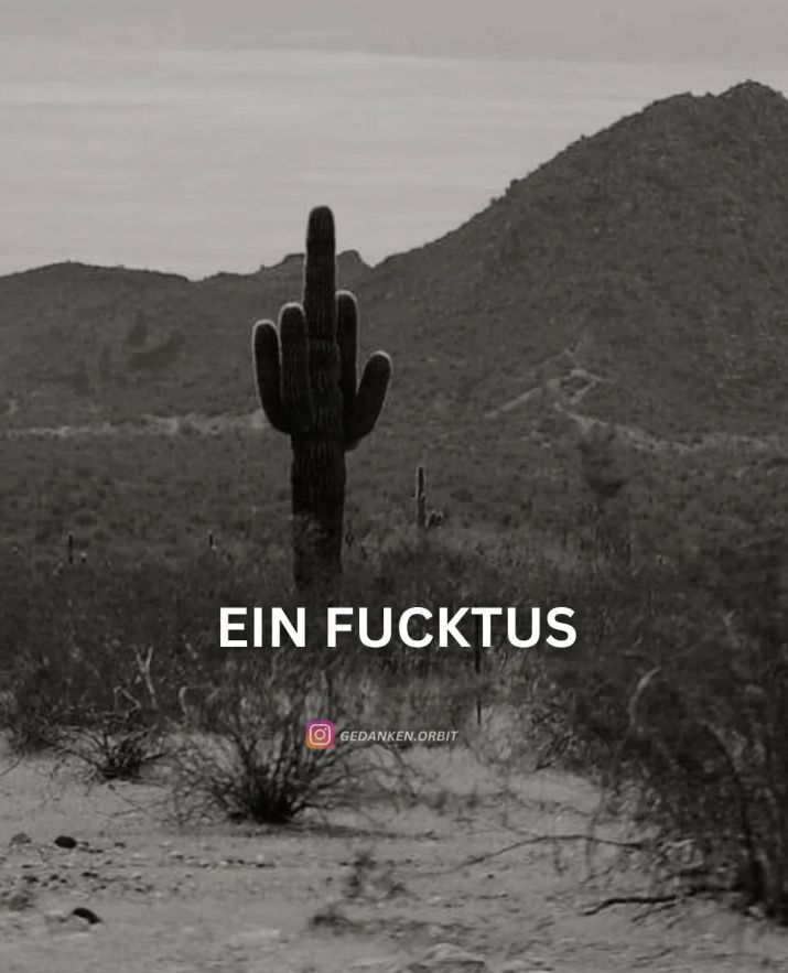 Carmelitta001's tweet photo. Guten Morgen, Freunde der wahren Demokratie🫂 Kommt gut durch euren Tag und gebt auf euch acht 🍀
😁
#wirsindmehr
#wirsindbunt
#UkraineWillWin
#AfdsindFaschisten
#lautgegenRechts
#NAFO
#Ukrainedefenddemocracy
#SlavaUkraini 🇺🇦
#DefendDemocracy
#afdzerstoertdeutschland
#Pruef https://t.co/Eun6G3Rjnp