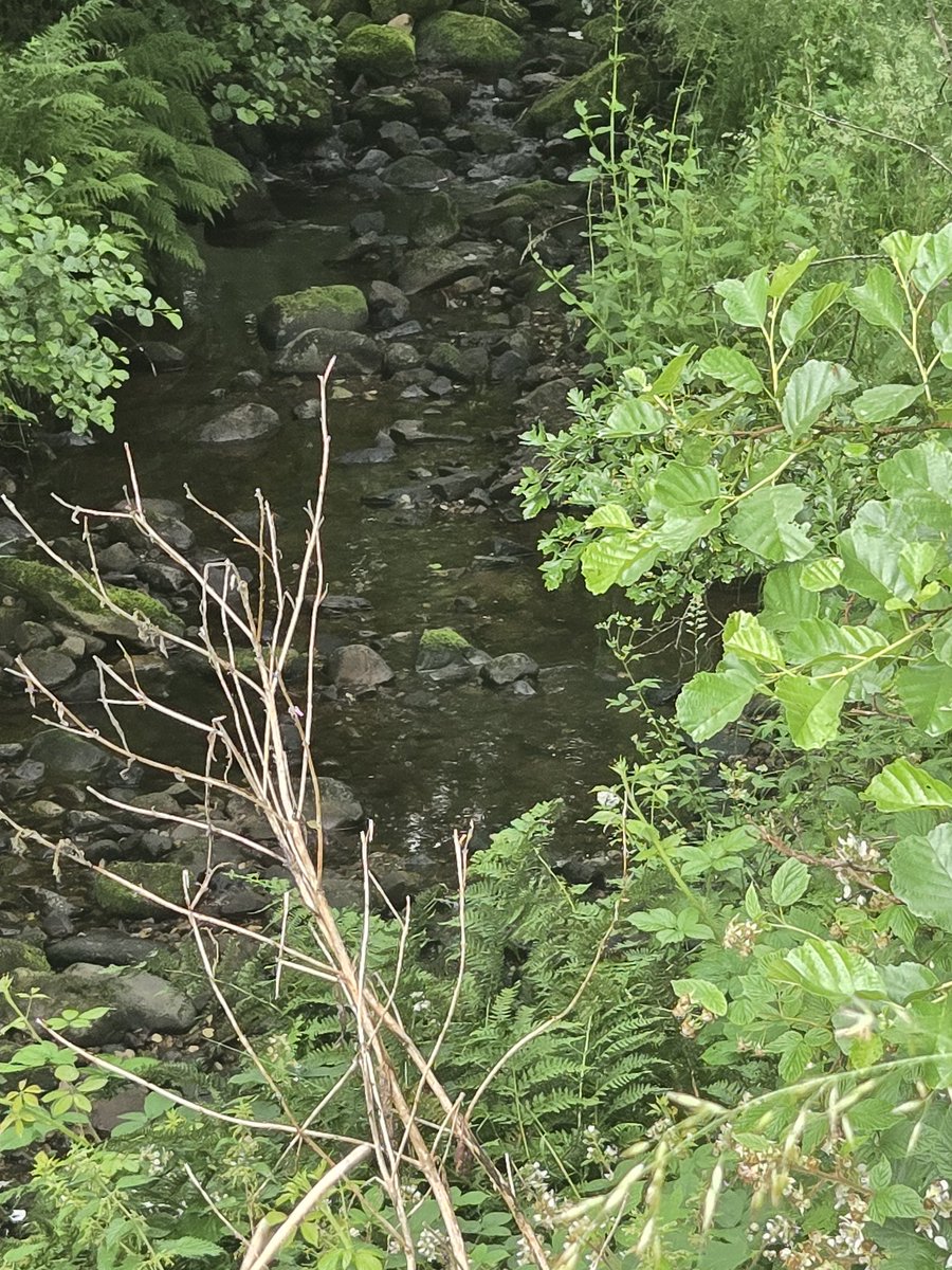 AmdramMel's tweet photo. Some photos from this morning's walk https://t.co/7TFJR1TCSw