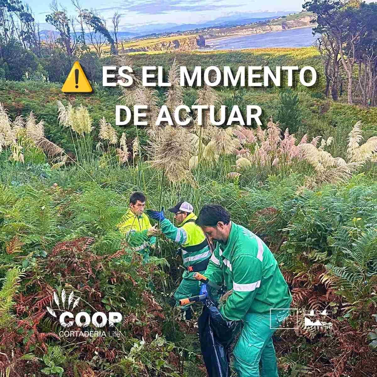 stopcortaderia tweet picture