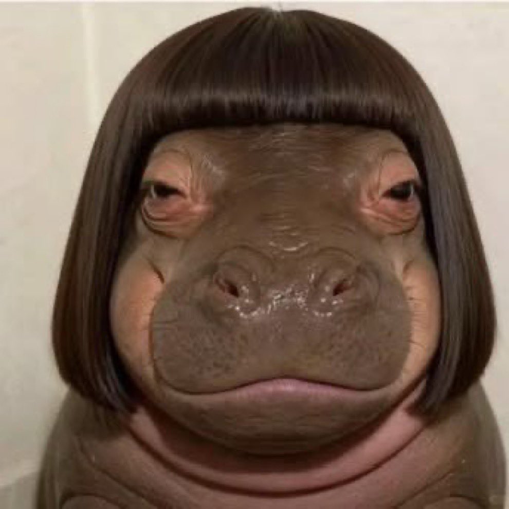 chickcrisis's tweet photo. Photos of hippo on X vs him in real life https://t.co/TL2Xb3M0QT