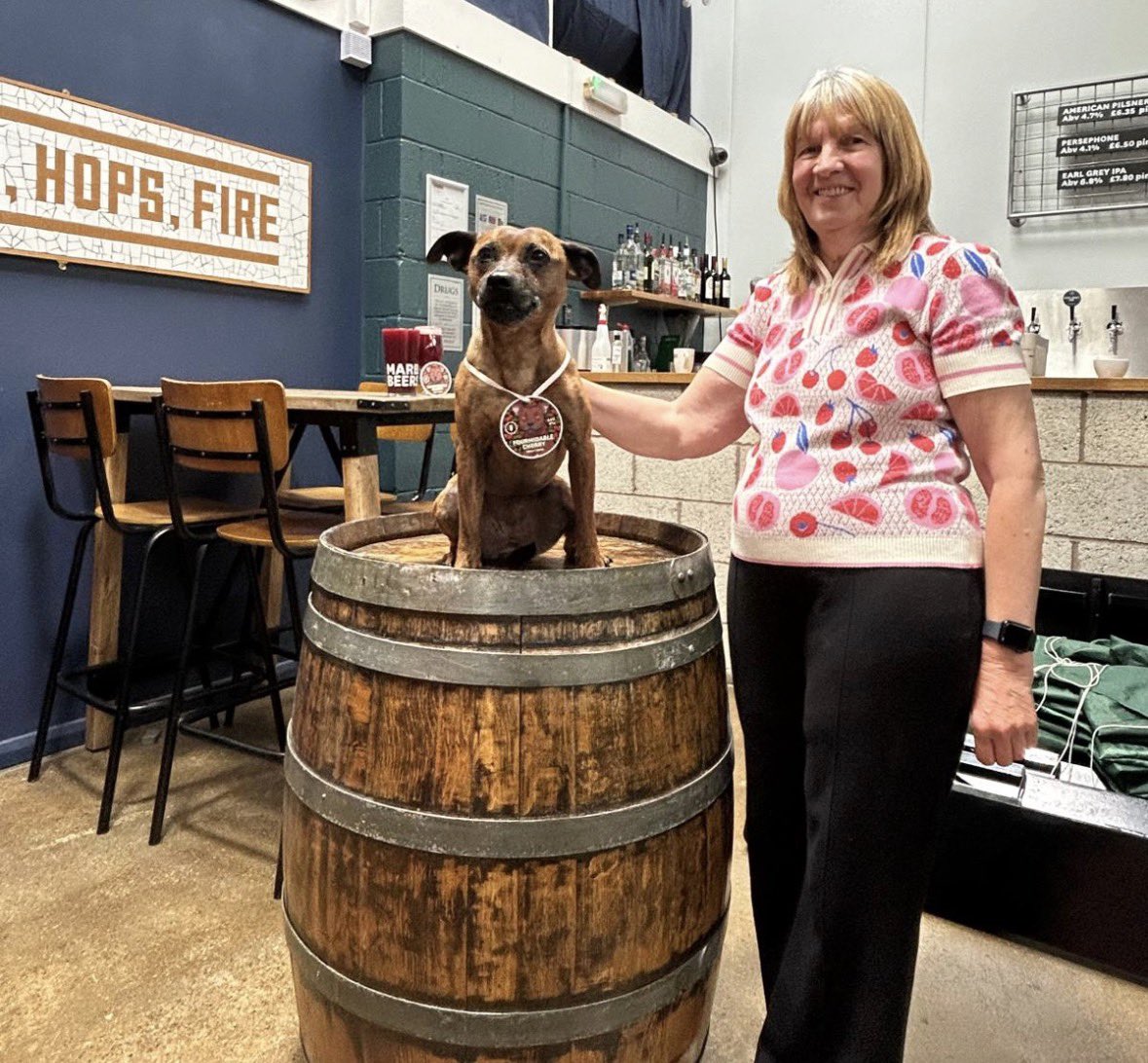 marblebrewers's tweet photo. 🐾 FOUR PATROL 🐾

Just a friendly reminder from little Betty here that all profits from Fourmidable Cherry support friend of @TheMarbleArch Steph &amp; her amazing dog, Four, on their journey to Germany this month representing Team GB at the Senior Agility Open! 

Shop link in bio🍒 https://t.co/B80WwGkk9Z