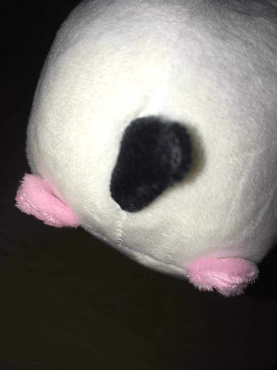 hamzidesu's tweet photo. 푸지나가 피쿠 ♡  
누나가 잘 키오줄게 ㅋ .ㅋ https://t.co/SKdmyHfUew