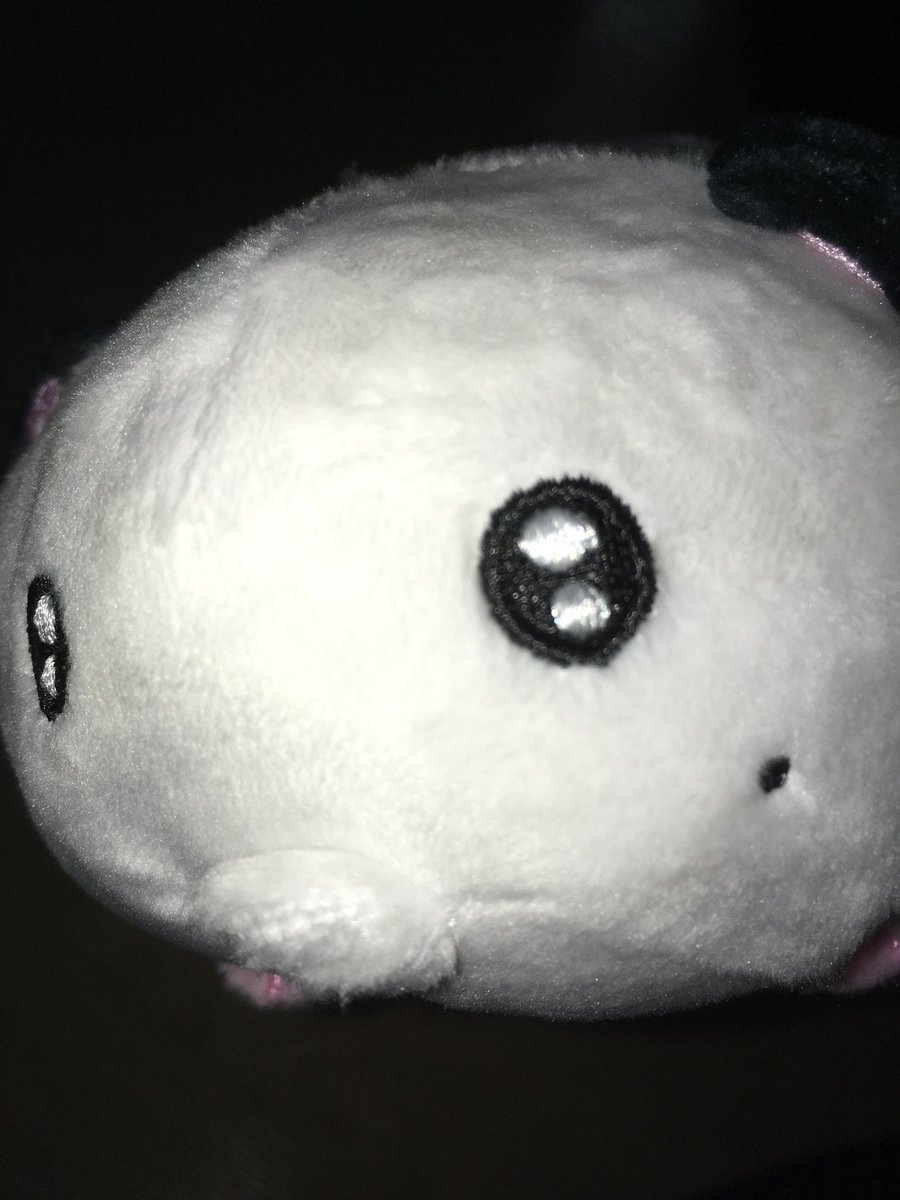 hamzidesu's tweet photo. 푸지나가 피쿠 ♡  
누나가 잘 키오줄게 ㅋ .ㅋ https://t.co/SKdmyHfUew