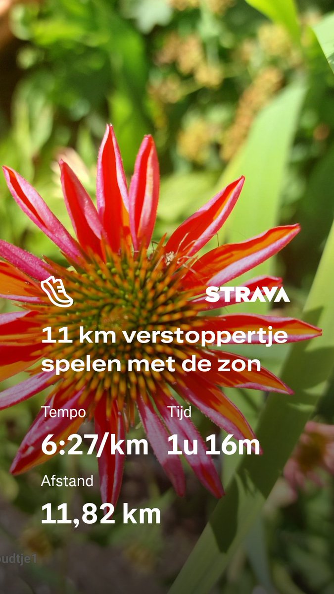 cloudtje1's tweet photo. Heerlijk duurloopje gedaan @loopmaatjes. Beetje yoga en lekker in zonnetje ontbijt genuttigd. Een fijne dag allemaal! https://t.co/RbnKgno8QL https://t.co/e6YaXa2nev
