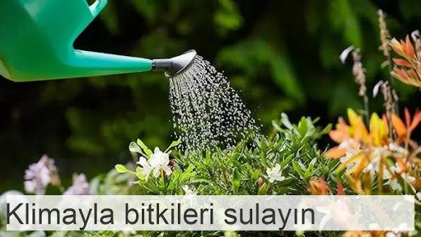 yusufcekic45's tweet photo. #mugla #denizli #Antalya #isparta #NeMutluTürkümDiyene #BuVatanBizim #saglikliyasam #sağlıklıyaşam #pratikyemekler #huy #kütahya #Konya #kayseri #Trabzon #usak #zonguldak #kastamonu #tunceli #Adiyaman #sanliurfa #hayat #yaşam #çay #mutluolyeter #şifa #güzellik #kütahya https://t.co/s414if1TmH