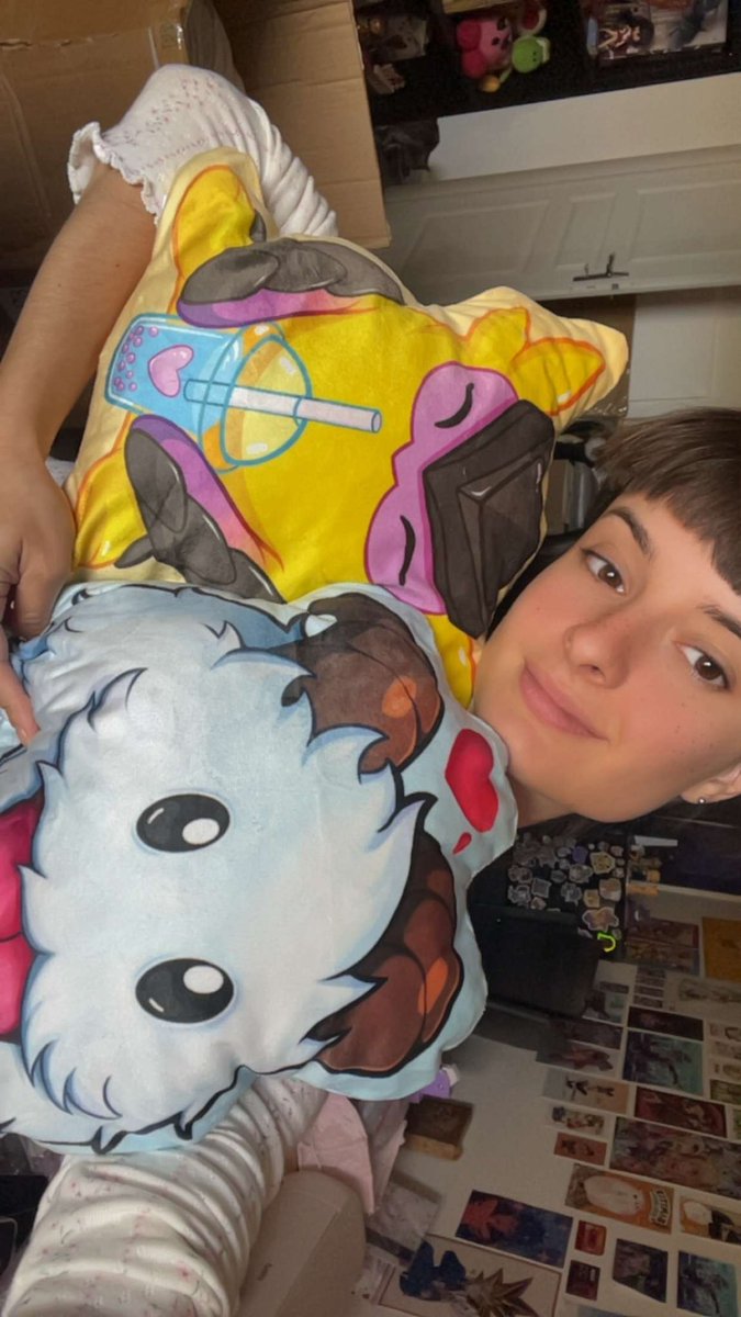 Acti_paw's tweet photo. Exclusivité Japan Expo 
10 coussins Altego
10 coussins Poro https://t.co/hUUkOizA0w