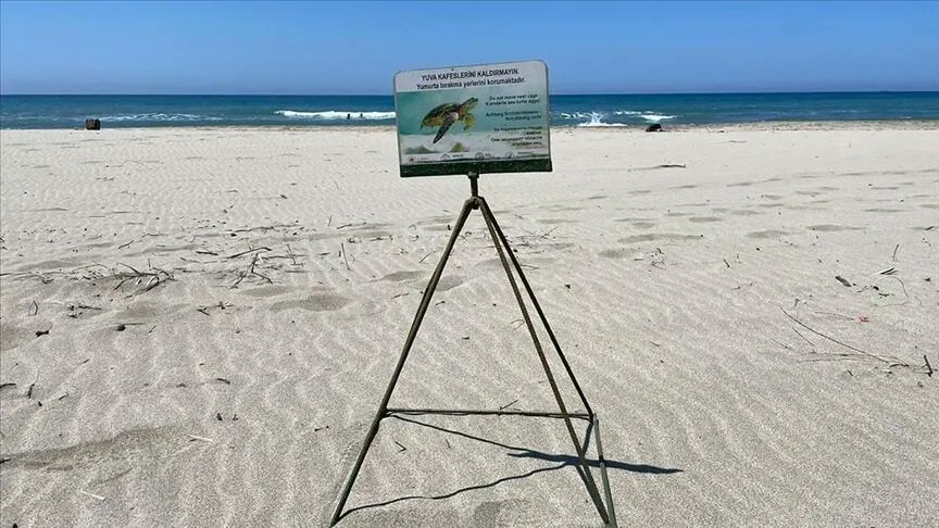 Caretta Carettalar İçin Kumsallarda Ateş Yakmak Yasak: Cezası 699 Bin Lira