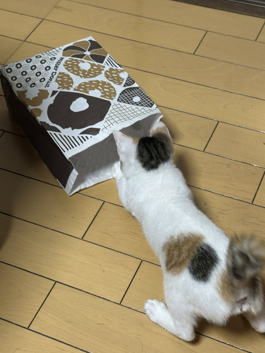 fumikofu1103's tweet photo. 色が一緒🩷 https://t.co/T34YhlVjT6