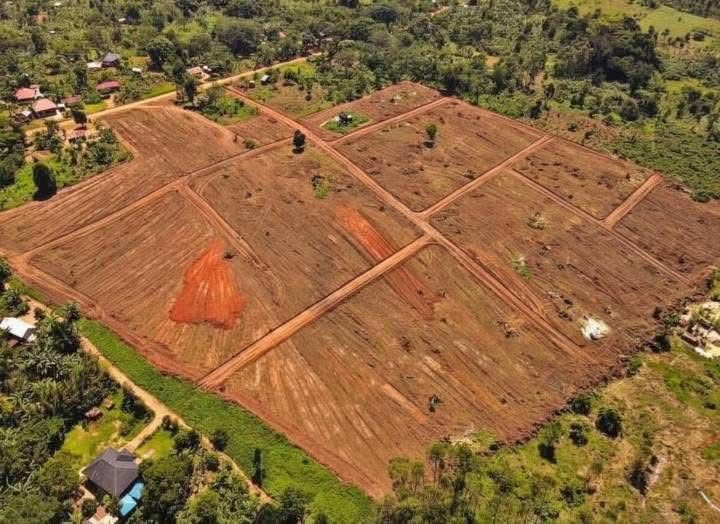 kainosExploits's tweet photo. Nakasajja hill, Gayaza Road
50ft X 100ft - 29M ugx

100ft X 100ft - 58M ugx
Ready land titles

Only 1km off tarmac. +256 776 533 521 https://t.co/rjxMYSjJO4