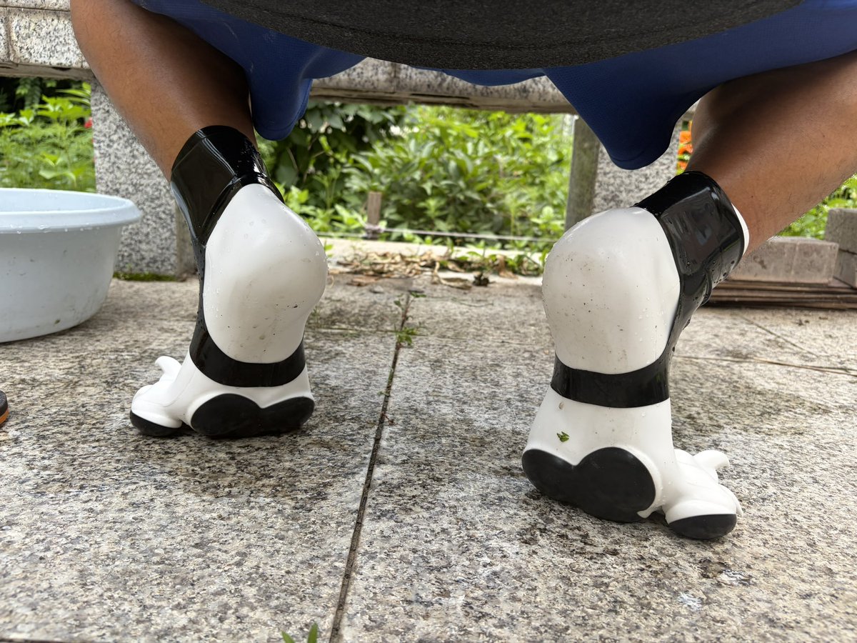 Xielmilano's tweet photo. pawsocks with latex stirrups
爪袜配袜蹬 https://t.co/SXbTDAoF7y