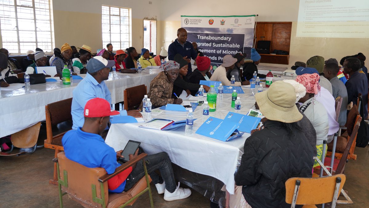 FAOZimbabwe tweet picture