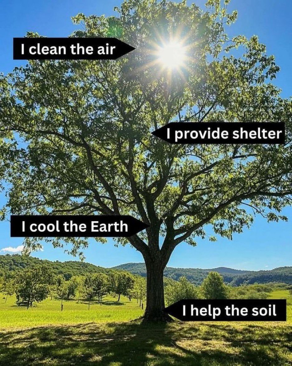 Animalww26's tweet photo. I AM life. https://t.co/EWUCacerDT