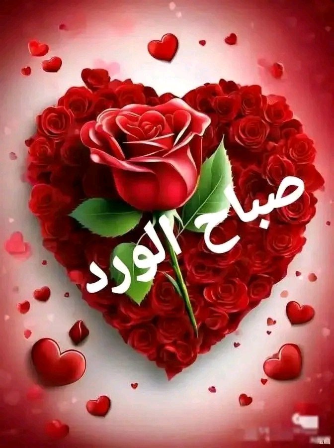 MbarekRh's tweet photo. @Dalia684097 https://t.co/zqV03iNY6B