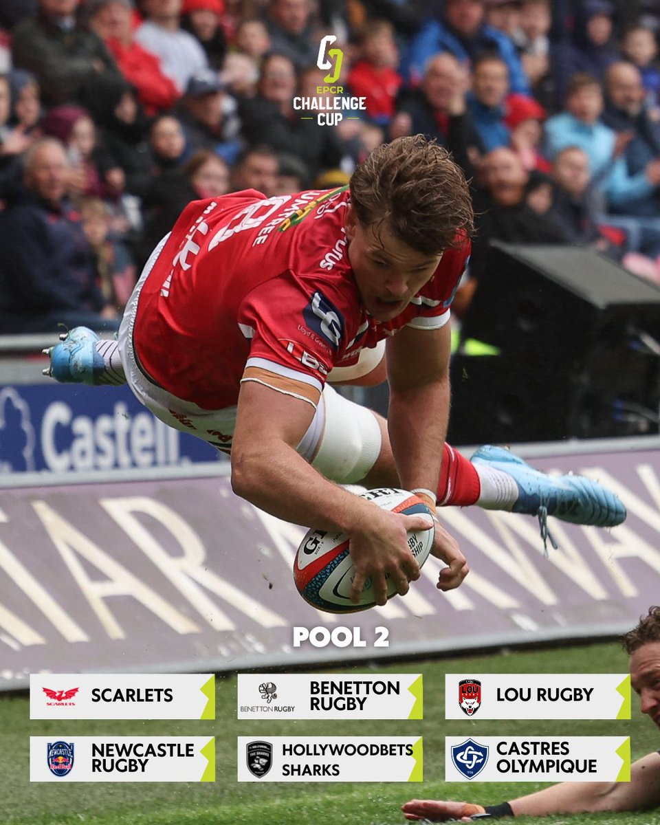 scarlets_rugby's tweet photo. 🏆 An exciting @ChallengeCup_ pool

Which trip do you fancy?

Detholiad cyffrous o dimau ar gyfer Cwpan Her Ewrop 2026-27!

#ChallengeCupRugby #YmaOHyd https://t.co/y0zkm77Zyu