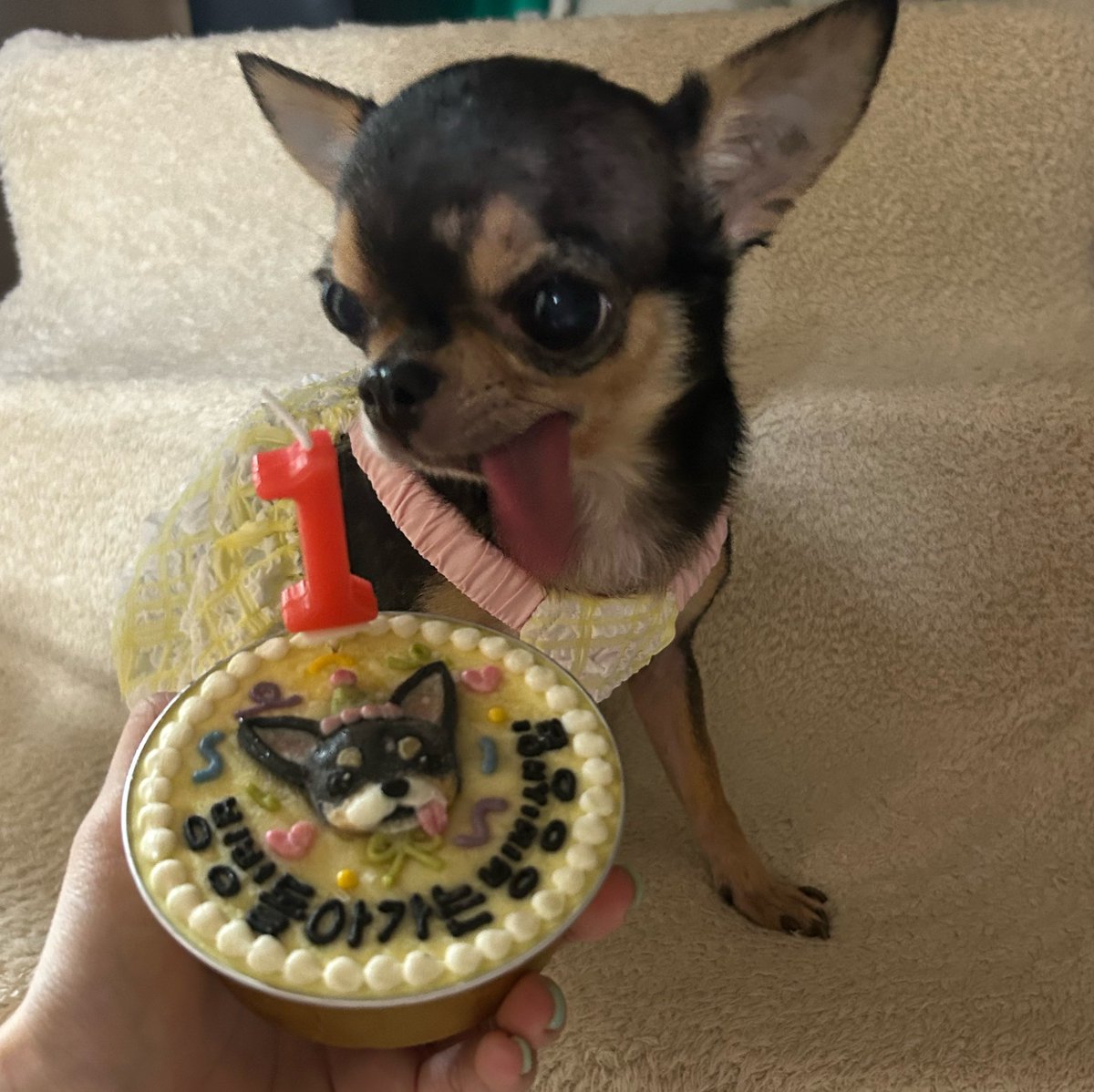 SpinBingBing's tweet photo. 🎉 𝙃𝘼𝙋𝙋𝙔 𝘽𝙄𝙉𝙂𝘽𝙄𝙉𝙂𝘿𝘼𝙔 🎂✨ https://t.co/9uw2zqsjkV