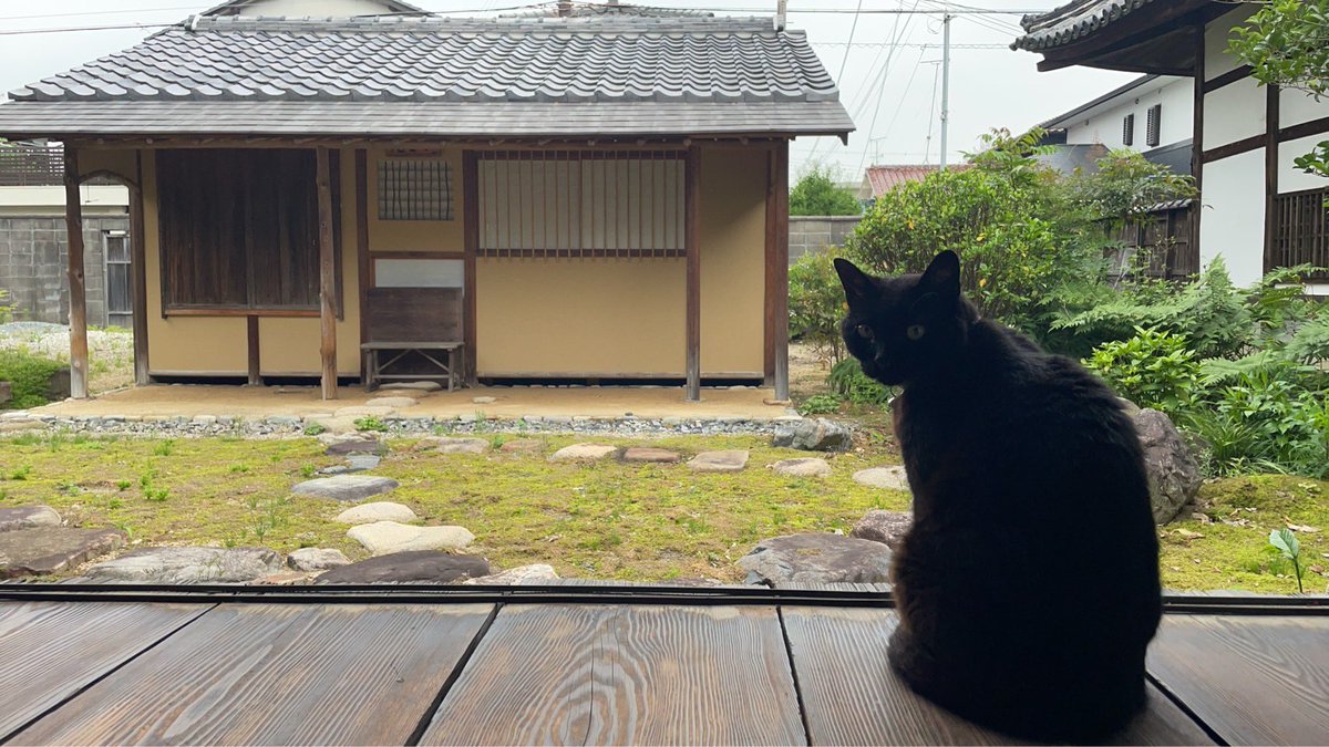 futetsuji's tweet photo. 雨やで… https://t.co/xEWDYGOguK