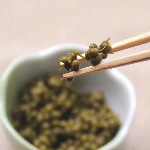 hyogossimo's tweet photo. 今年の新物の出荷が始まりました！

噛むほど広がる、山椒のさわやかさ🌿
青い実ならではの香りとほどよいしびれが特徴。
柔らかいうちに収穫した朝倉山椒の実を、特製だれにじっくり漬け込みました。

ご飯のおともはもちろん、魚の煮付けや肉料理のアクセントにも🥢

https://t.co/bBI4BbkPG6 https://t.co/K8VMXOXvD0