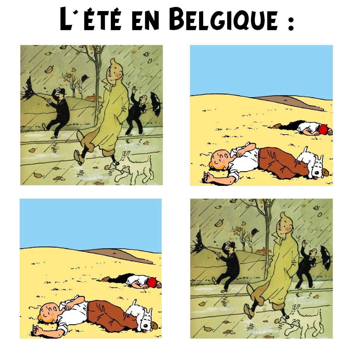lavidaenvinetas's tweet photo. L'Été en Belgique https://t.co/Zp7HK9qtSb